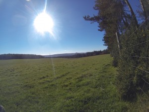 DCIM100GOPRO